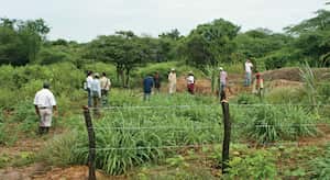 El tema de la tierra es el primer punto en la agenda del proceso de paz.