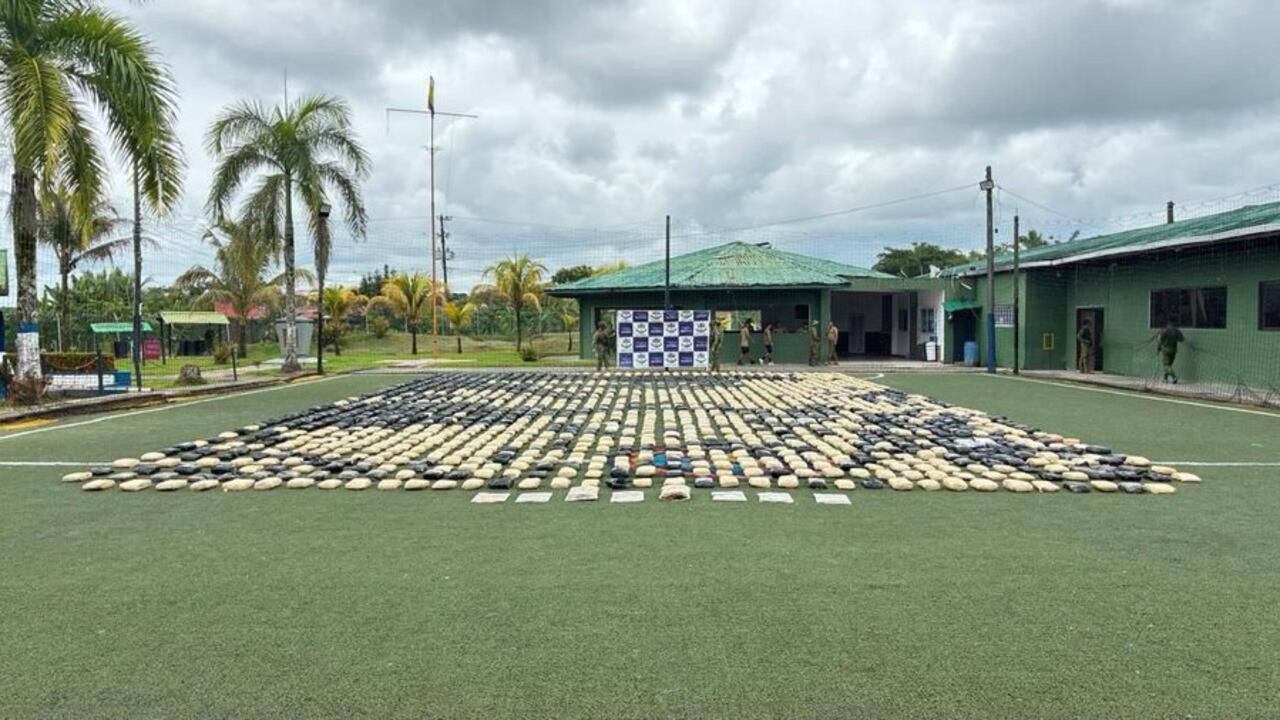 Los infantes de marina incautaron este cargamento de marihuana en medio de los patrullajes que adelanta en los ríos de la zona rural del municipio de López de Micay.