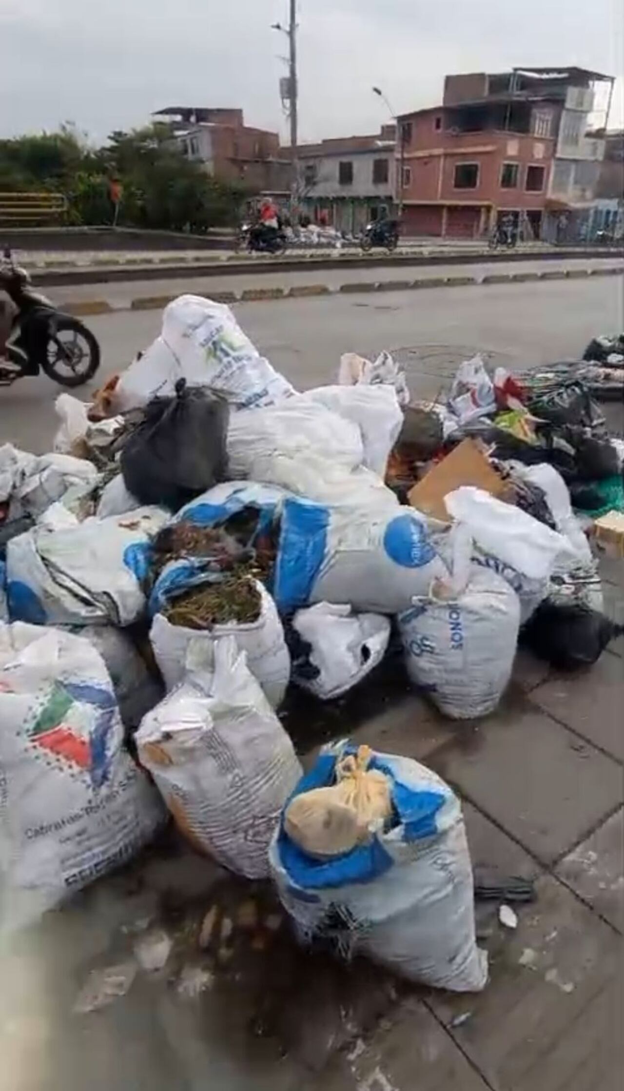 Ciudadanos señalan que la permanencia de basuras en la Troncal estaría relacionada con la frecuencia del servicio de aseo en el sector.