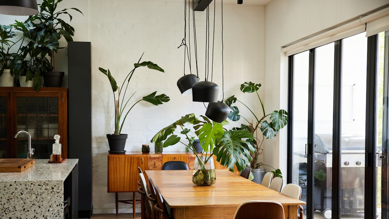 Descubra cómo las plantas resistentes al calor pueden ofrecer la solución perfecta para mantener su hogar fresco y acogedor.