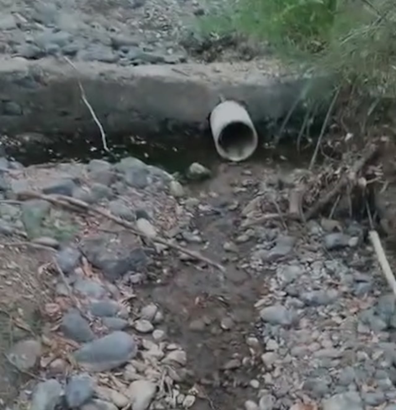 Comunidades de las veredas El Papayal y El Credo también sufren la emergencia hídrica y solicitan la intervención de la CRC y la Gobernación del Cauca para garantizar el suministro de agua.