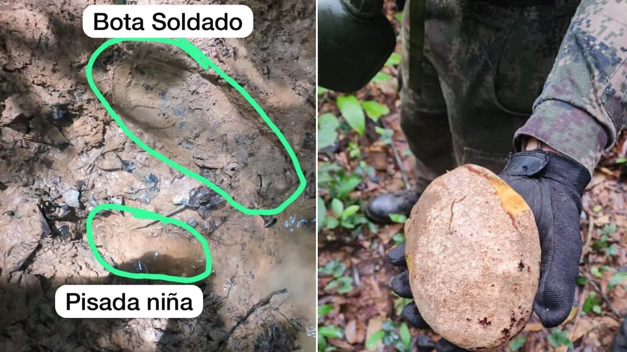Las Fuerzas Militares hallaron nuevas pistas de supervivencia de los cuatro niños desaparecidos en selva entre Caquetá y Guaviare.