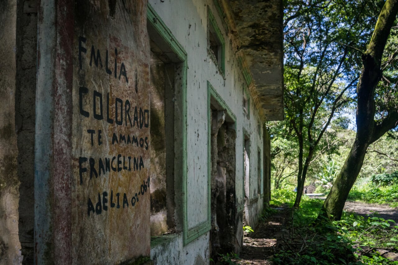 Especial de Colprensa sobre La memoria de 30.000 muertos vive en el silencio verde del antiguo Armero