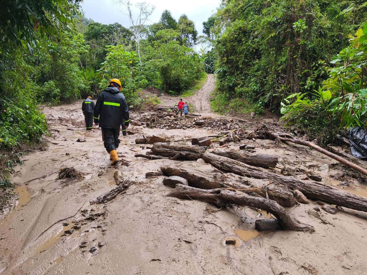 Las intensas lluvias de las últimas horas han provocado graves afectaciones en sectores pertenecientes al corregimiento de Bruselas. El desbordamiento del río Guachicos generó la pérdida de la banca de una de las principales vías de acceso a la vereda Porvenir. Las imágenes muestran la dimensión de lo ocurrido en esta importante despensa agrícola de Pitalito.