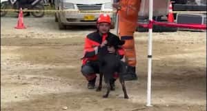 Teo fue rescatado con vida este domingo 14 de enero.