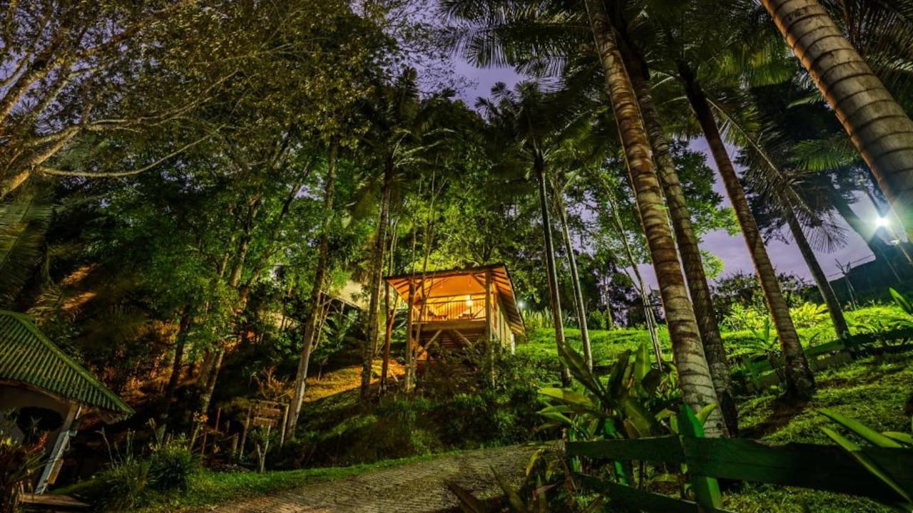 Salento es una ciudad andina de Colombia, al oeste de Bogotá, conocida por sus fincas cafeteras y la vegetación de su entorno.