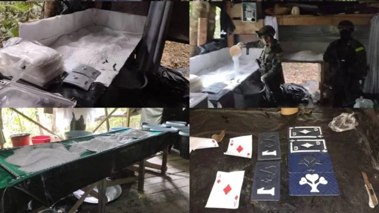 Ejército Nacional desmanteló complejo cocalero de alias Gripo en Ipiales.