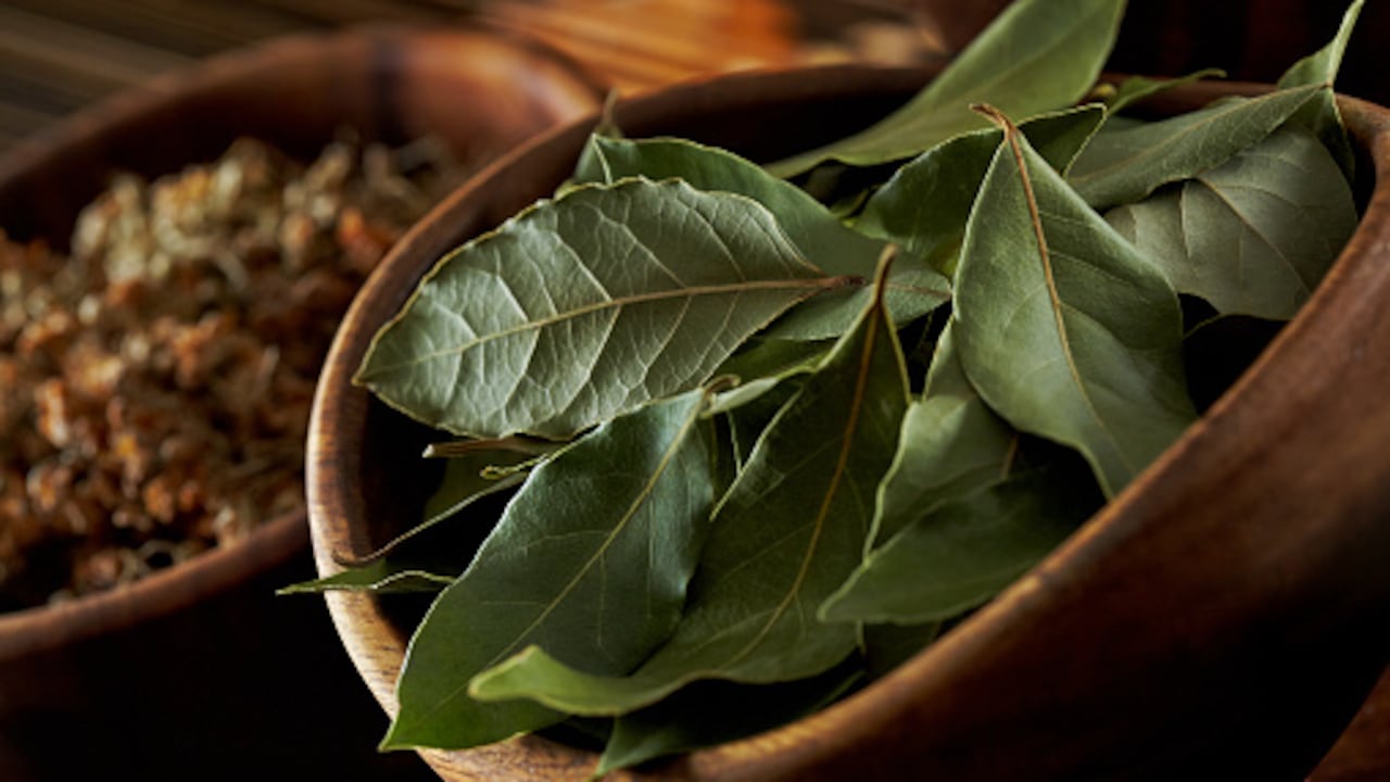 Esta planta medicinal es muy fácil de conseguir y se puede consumir de diferentes formas.