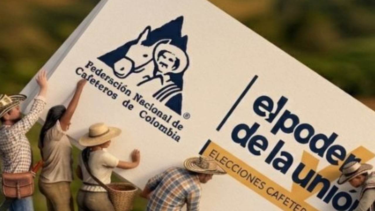 Las directivas gremiales enfatizaron que el anuncio representa una señal de tranquilidad para el aparato productivo nacional.
