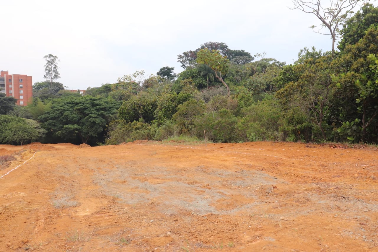 El área intervenida hace parte de una zona con determinantes ambientales que deben ser considerados en cualquier proyecto que se pretenda ejecutar.