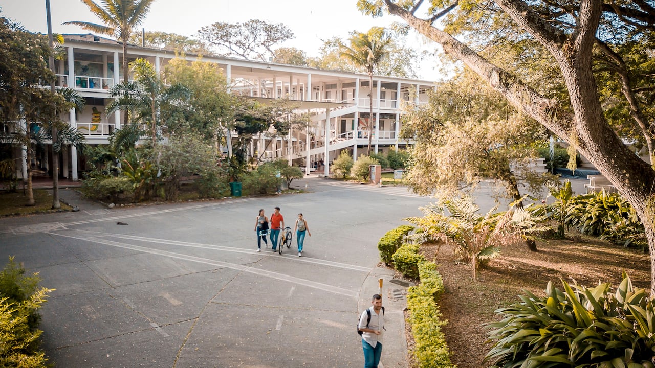 El campus de la Sede Palmira es una colección viva de especies registrada bajo el nombre: Arboretum "Eugenio Escobar Manrique". Alberga, custodia y conserva más de 900 individuos de diferentes especies representativas de la zona plana del Valle del Cauca.