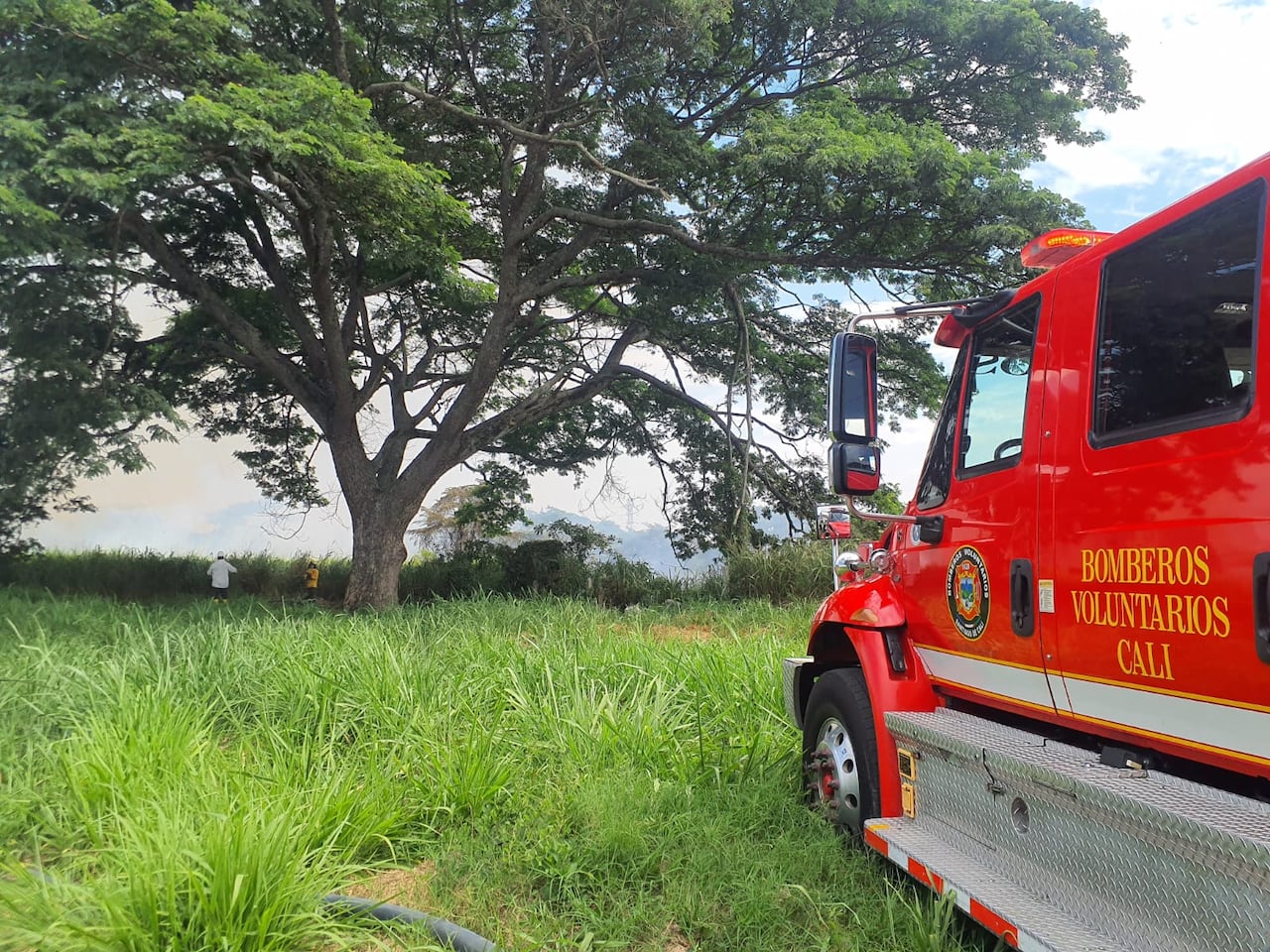 Emergencia por incendio de vegetación fue controlada en el barrio Mojica