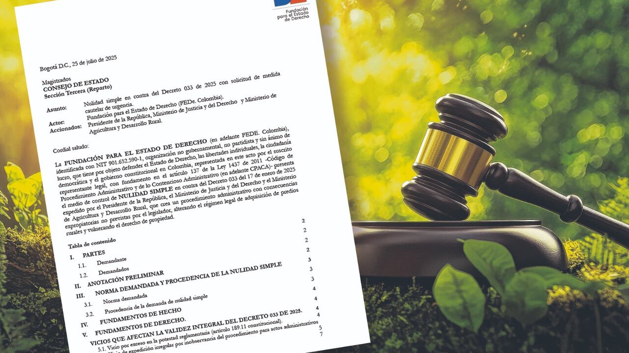 La demanda de nulidad contra el Decreto 033 de 2025 considera que se excede de manera evidente los límites materiales y funcionales de la potestad reglamentaria conferida al Presidente de la República por el Artículo 189.11 de la Constitución para expedir decretos.