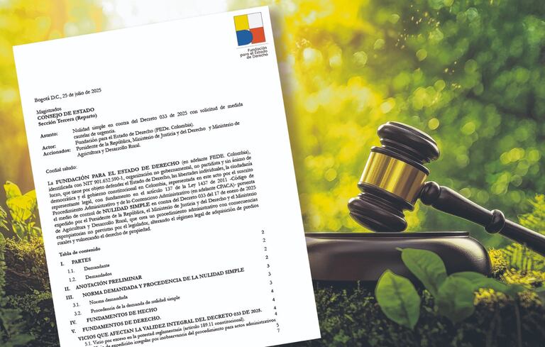La demanda de nulidad contra el Decreto 033 de 2025 considera que se excede de manera evidente los límites materiales y funcionales de la potestad reglamentaria conferida al Presidente de la República por el Artículo 189.11 de la Constitución para expedir decretos.