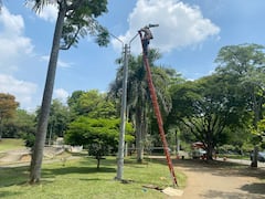 Trabajos de energía Emcali