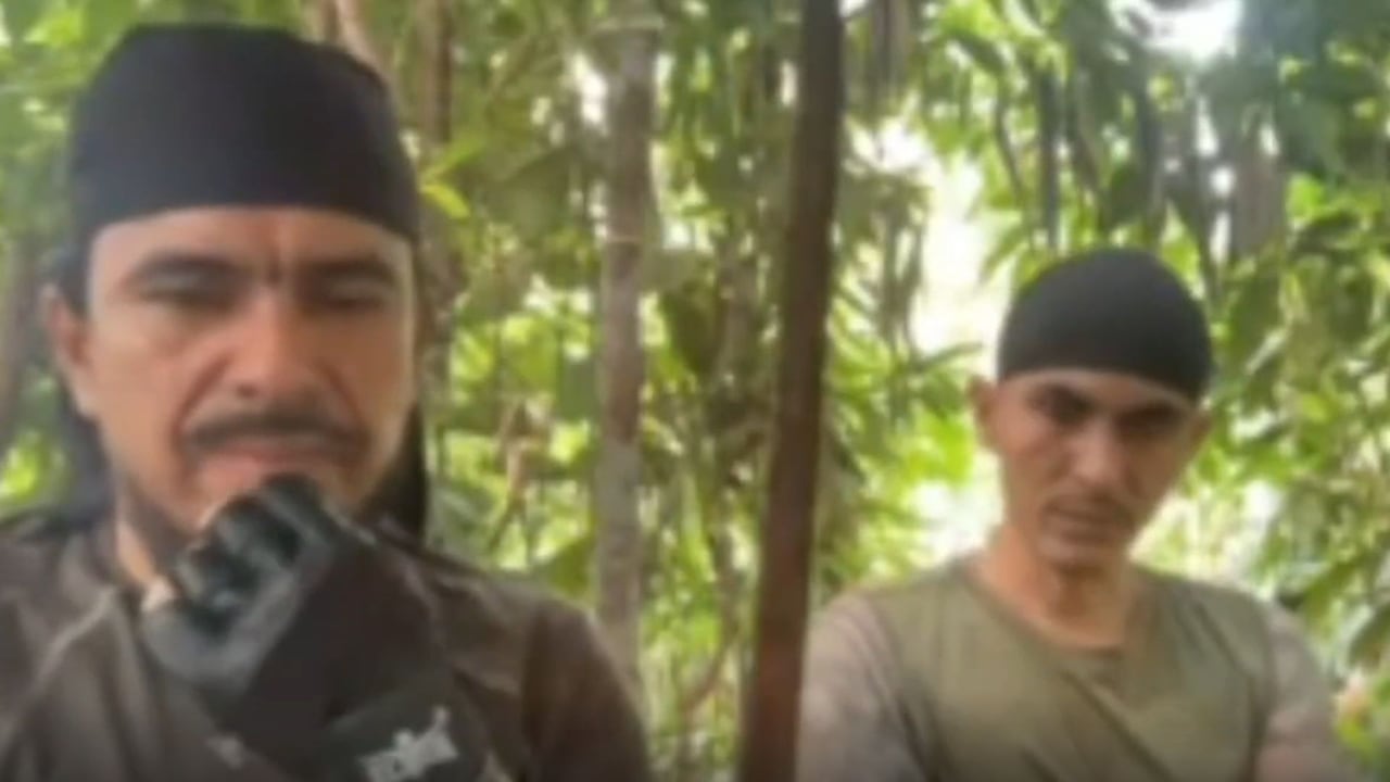 Frente 33 de las disidencias