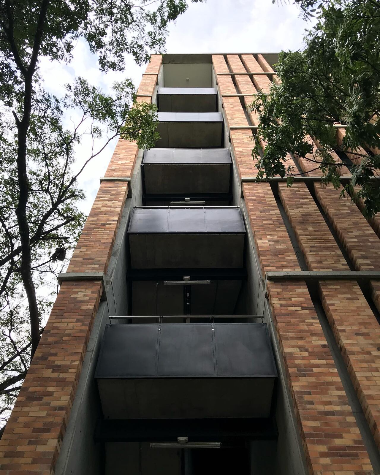 Edificio Cedro Rosado, ganador en la 29 Bienal colombiana de arquitectura y urbanismo 2024.