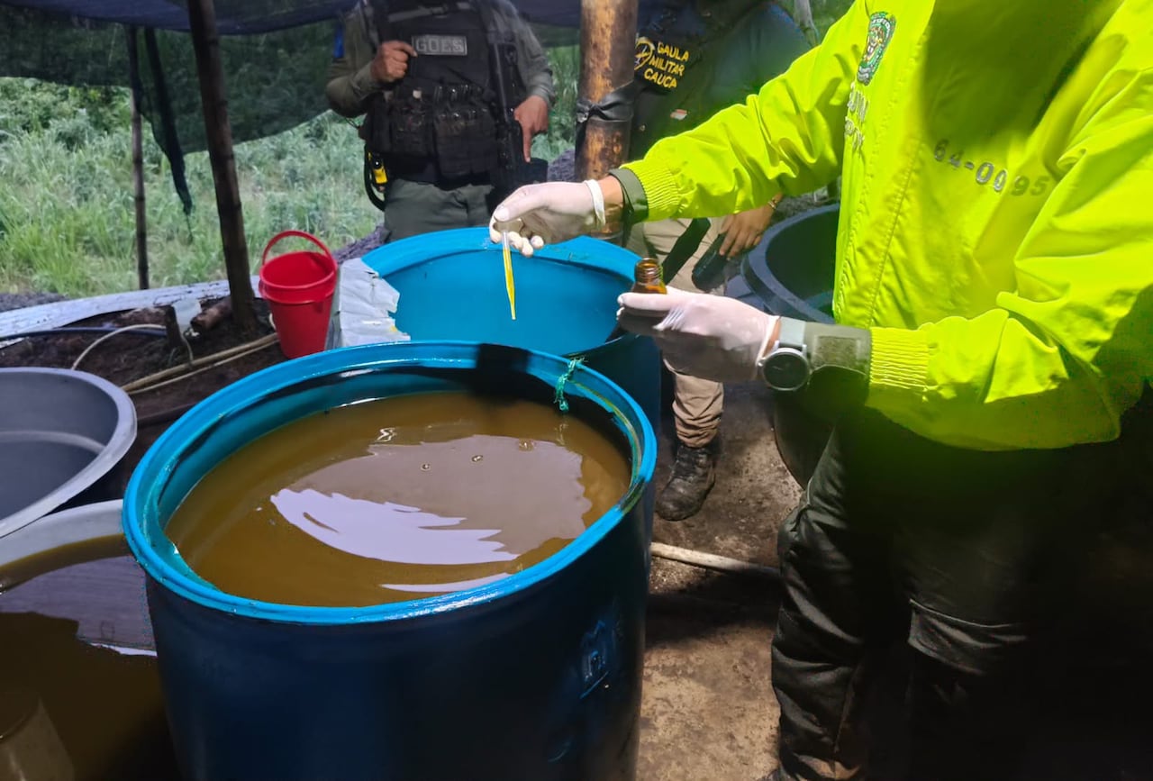 Investigadores de la Sijín y la Sipol de la Policía Nacional, en coordinación con el Gaula Militar y la Fiscalía, destruyeron dos laboratorios clandestinos para el procesamiento de clorhidrato de cocaína en la vereda Cerrillos, zona rural de Popayán, en un operativo que dejó 15 personas capturadas.