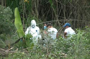 El cadáver de la mujer se produjo a la altura del callejón La Viuda, en jurisdicción del corregimiento de Tres Esquinas, Tuluá.
