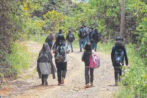 Estudiantes en condición de discapacidad, ubicación geográfica o razones socioeconómicas complejas y matriculados en colegios que necesitan reubicación temporal son los que tienen el servicio de transporte.