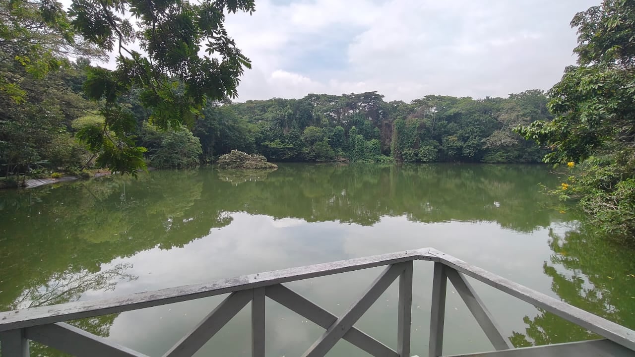 Imagen del Parque del Lago de las Garzas.