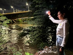 Organismos de Gestión del Riesgo de Desastres se encuentran evaluando la zona.