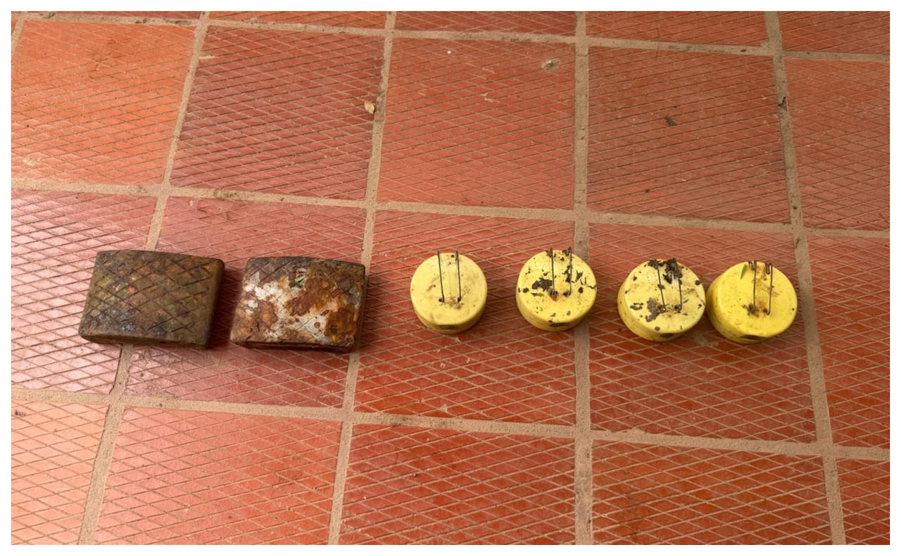 Artefactos explosivos en cadáveres de disidentes asesinados en San José del Guaviare.