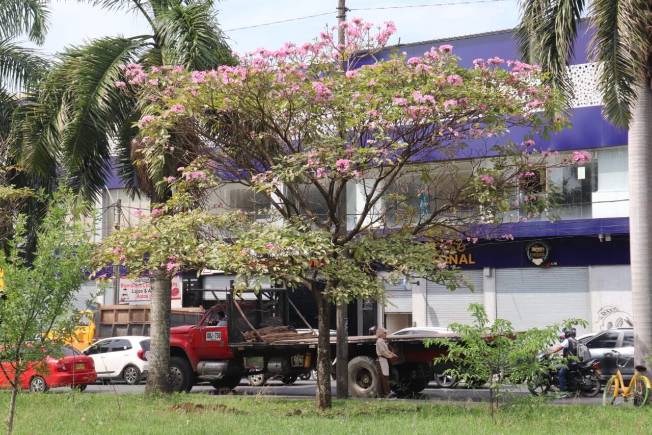 El corredor de la Calle 25 es considerado como una zona de mitigación de las islas de calor en la Comuna 3.