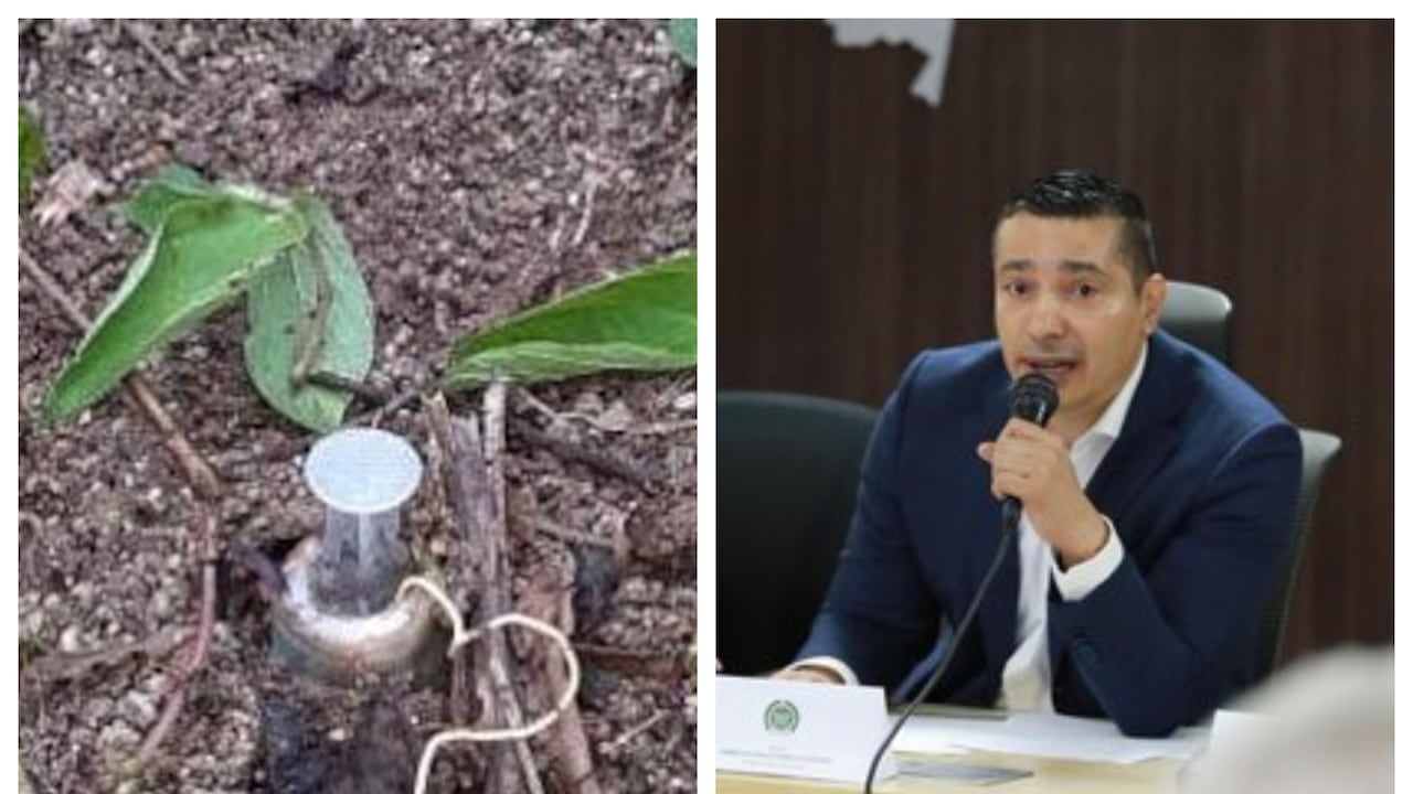 Tío del gobernador del Cauca, Octavio Guzmán, sufrió graves heridas en un campo minado en La Vega, Macizo colombiano.