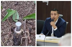 Tío del gobernador del Cauca, Octavio Guzmán, sufrió graves heridas en un campo minado en La Vega, Macizo colombiano.