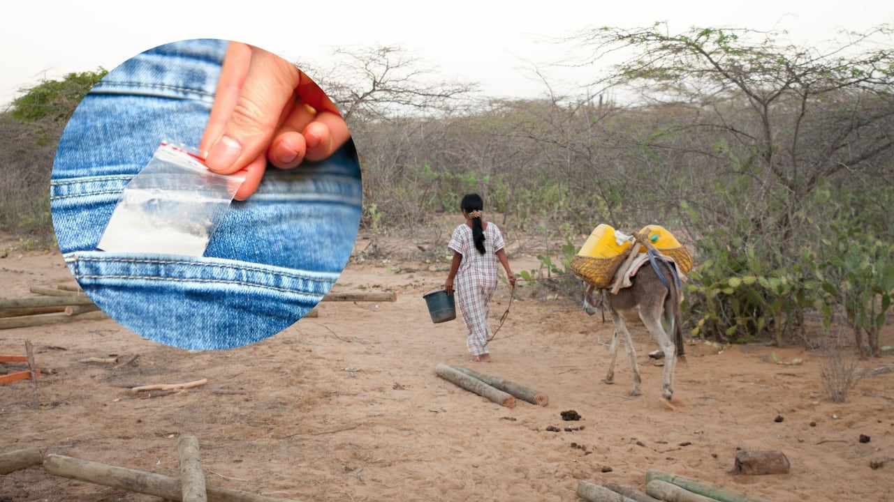 Camuflando la droga entre comunidades indígenas wayuu, los delincuentes exportaban la droga hacia los Estados Unidos.