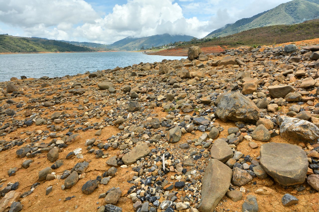 El fenómeno del Niño no solo ha cambiado la intensidad de los fenómenos meteorológicos, sino que también ha cambiado los paisajes naturales, como pasa con el Lago Calima en el Valle del Cauca. En las orillas de este gran lago artificial, se nota la disminución en el nivel de sus aguas