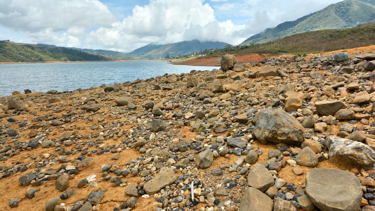 El fenómeno del Niño no solo ha cambiado la intensidad de los fenómenos meteorológicos, sino que también ha cambiado los paisajes naturales, como pasa con el Lago Calima en el Valle del Cauca. En las orillas de este gran lago artificial, se nota la disminución en el nivel de sus aguas