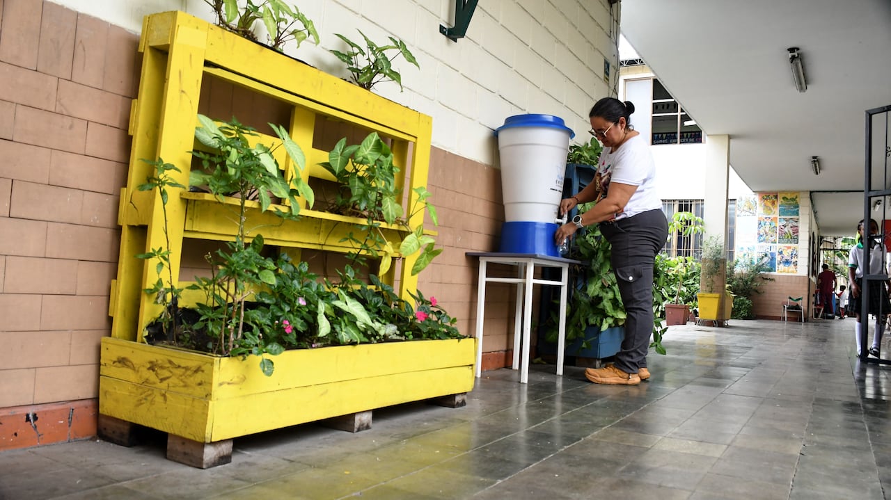 Cali: Colegio Eco escuela Alberto Sardi, San Antonio: foto José L Guzmán. EL País