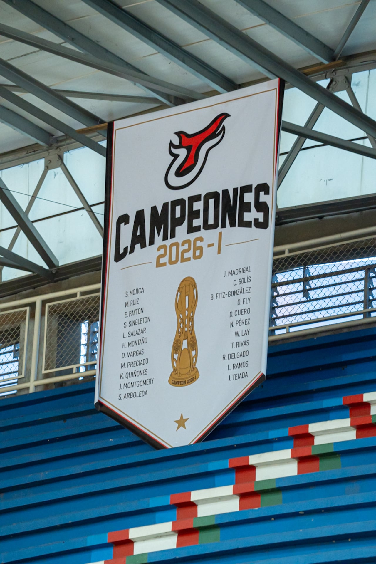 Toros del Valle