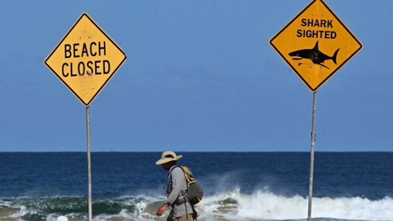 En el hecho se vio involucrado un menor de edad.