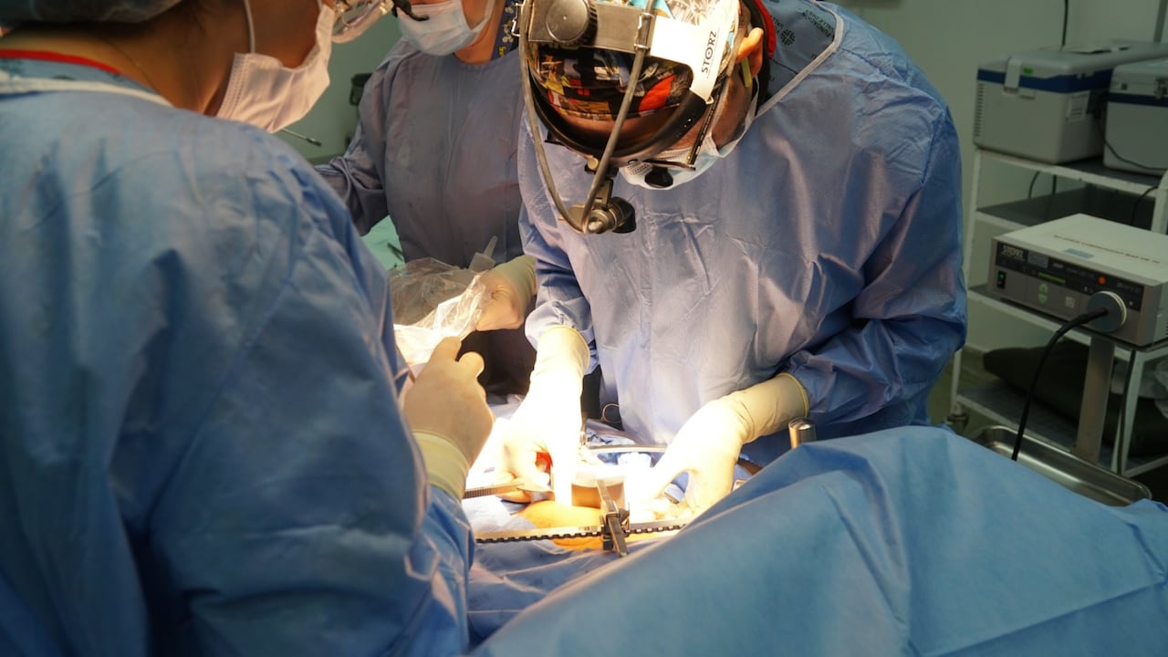 Imagen de referencia cirugía y trasplante de órganos.