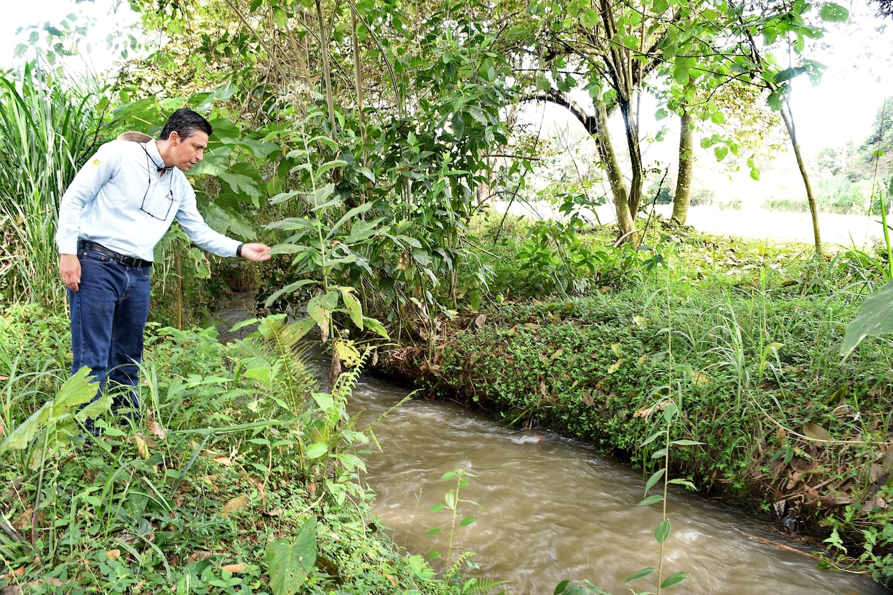 Activo: Corredor biodiverso, Asocaña.foto José L Guzmán. EL País.