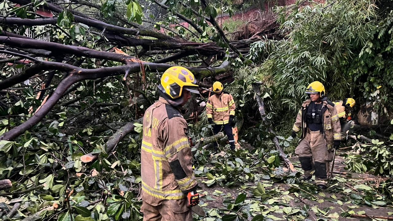 Las precipitaciones produjeron desprendimiento de árboles e inundaciones en diferentes sectores de la ciudad.