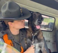 Vecinos alertaron a las autoridades cuando vieron al perro tendido en el oriente de Cali.