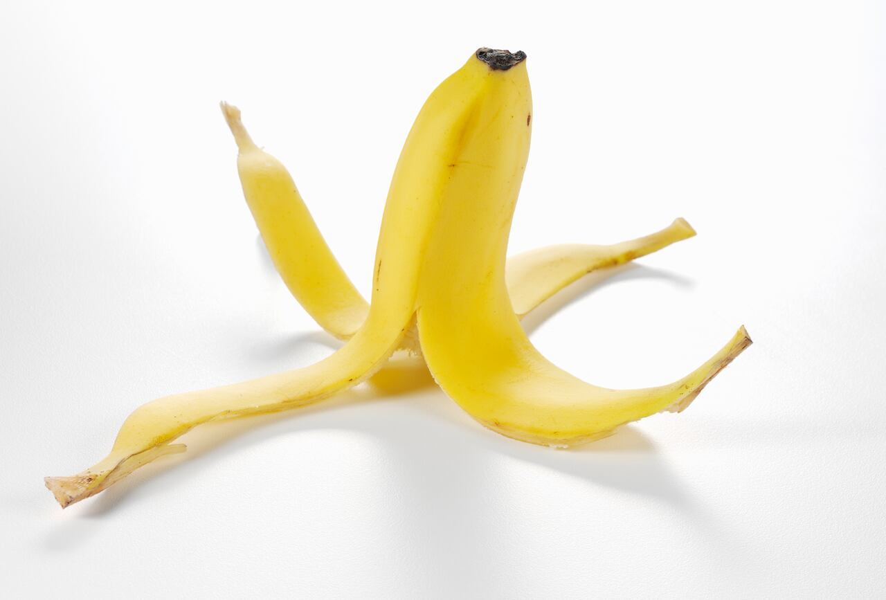 Esto puede hacer una gran diferencia en la salud de las plantas.