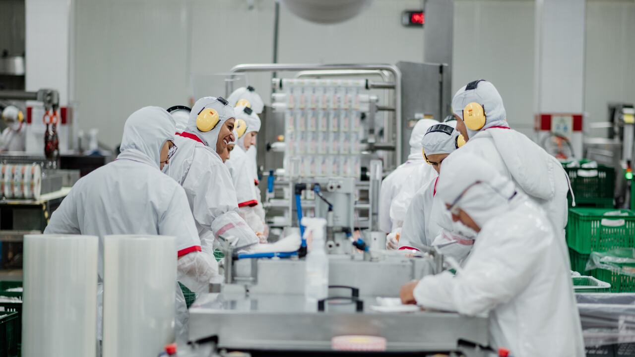 Empleados, trabajadores, industria