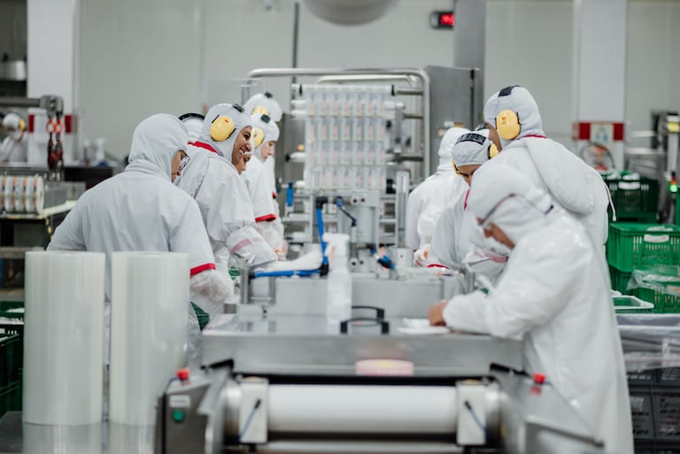 Empleados, trabajadores, industria