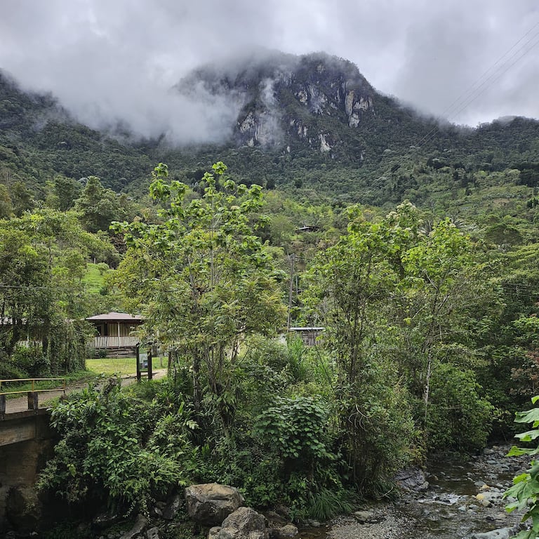 Parque Natural Los Farallones - Peñas Blancas. Carolina Abadía Quintero