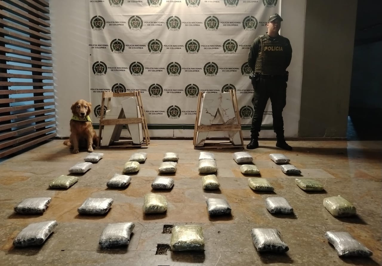 El canino 'Toro' y su guía uniformado han impedido que al menos 30 envíos de sustancias prohibidas lleguen a su destino.