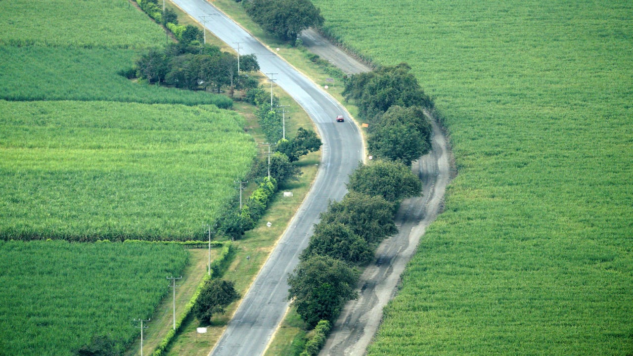 Asocaña. La caña de azúcar, es el gran motor de la economía en el Valle del Cauca. Este sector mueve el 0,7 % del PIB de Colombia, mueve 180.000 empleos. Hay 13 ingenios azucareros en la región, seis de ellos tienen plantas de bioetanol. Foto Jorge Orozco / El País.