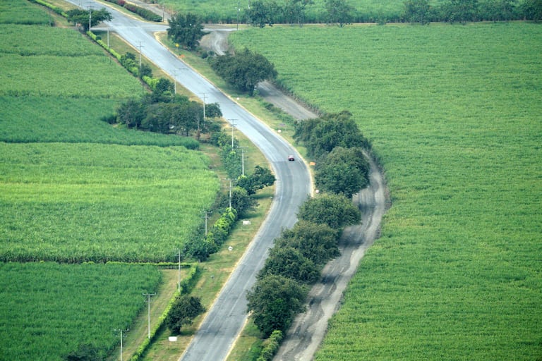 Asocaña. La caña de azúcar, es el gran motor de la economía en el Valle del Cauca. Este sector mueve el 0,7 % del PIB de Colombia, mueve 180.000 empleos. Hay 13 ingenios azucareros en la región, seis de ellos tienen plantas de bioetanol. Foto Jorge Orozco / El País.