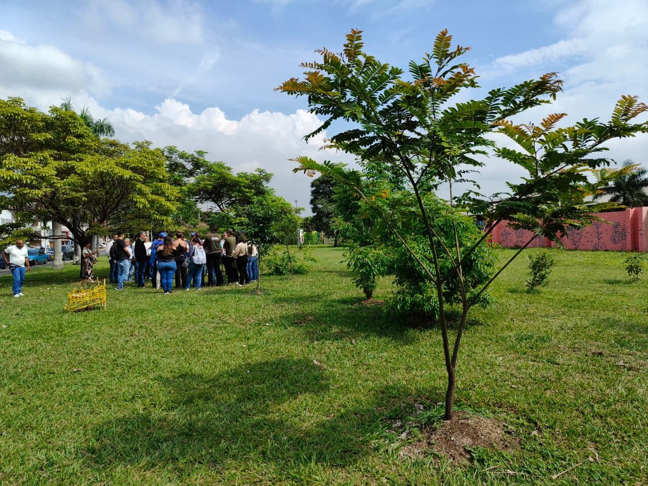Recorrido por el corredor vial de la calle 25, con delegados de la Comuna 3, grupos sociales, la Personería Municipal, y representantes del Dagma y Corfecali, para avanzar en proceso de concertación del traslado de árboles en este sector. Fotos Jorge Orozco