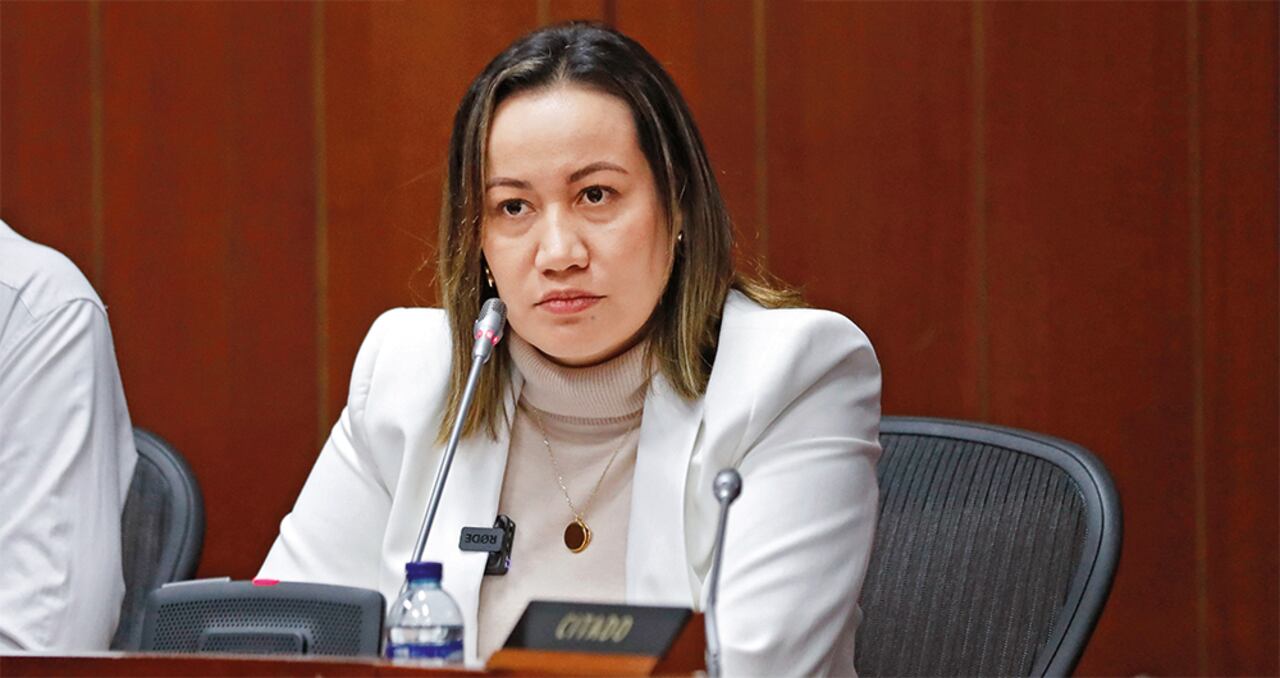 La ministra dice que nunca en la historia del país una reforma había sido tan debatida sin radicarse en el Congreso.