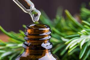 Se explorará cómo el uso regular de aceite de romero puede transformar la apariencia y la textura de la melena.